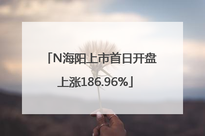 N海阳上市首日开盘上涨186.96%